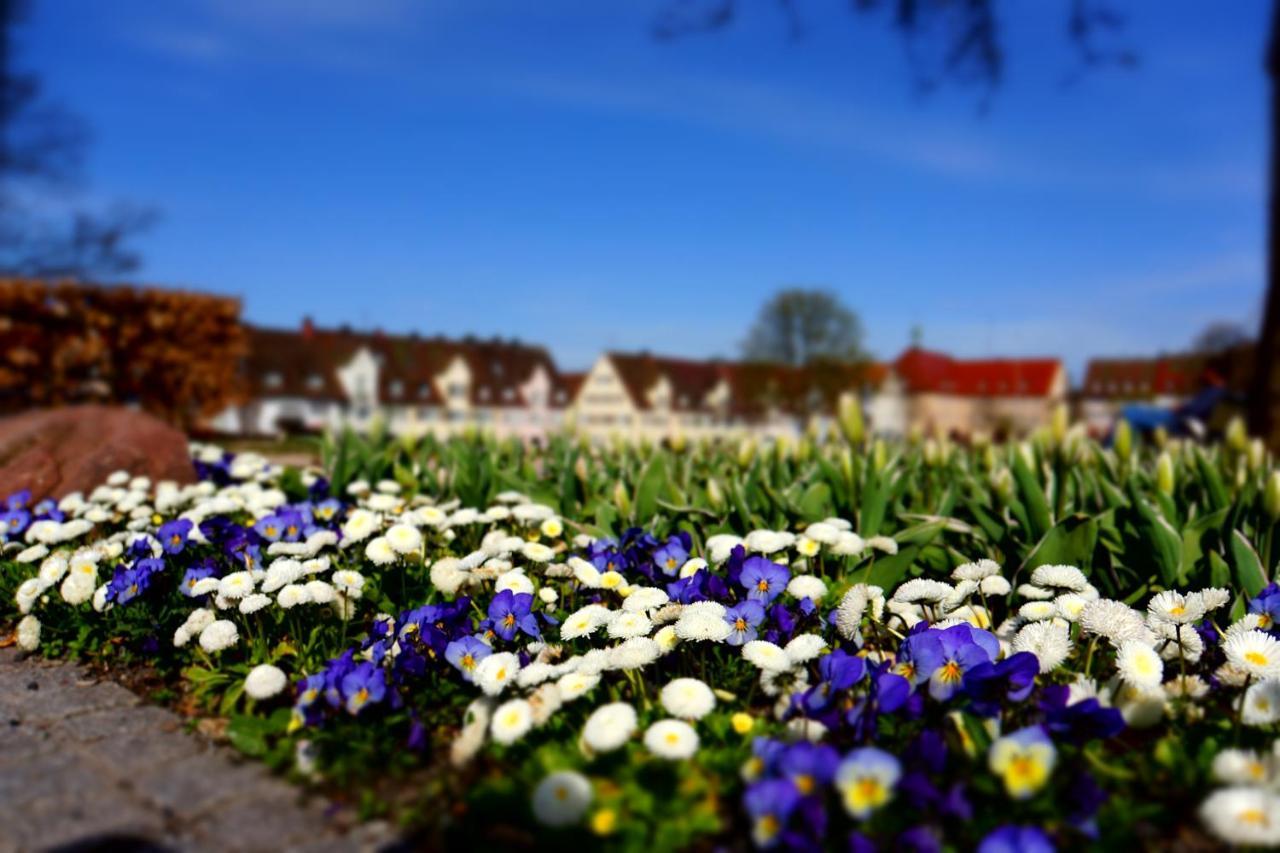 Fewo Schwarzwaldfreude Freudenstadt Exteriör bild